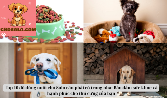 Top 10 đồ dùng nuôi chó Salo cần phải có trong nhà: Bảo đảm sức khỏe và hạnh phúc cho thú cưng của bạn