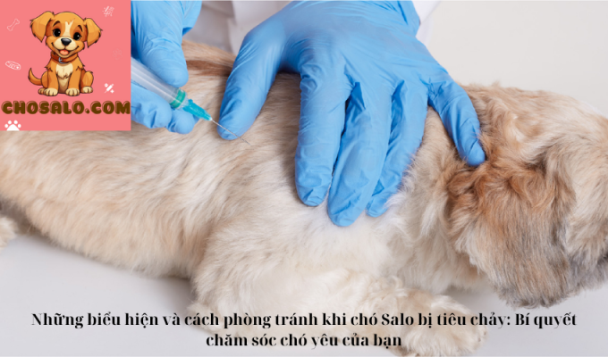 Những biểu hiện và cách phòng tránh khi chó Dogo Argentino bị tiêu chảy: Bí quyết chăm sóc chó yêu của bạn